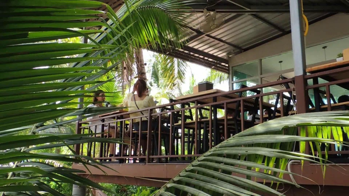 พาไปชิม กาแฟน้ำมะพร้าวอ่อน บรรยากาศท่ามกลางสวนมะพร้าว