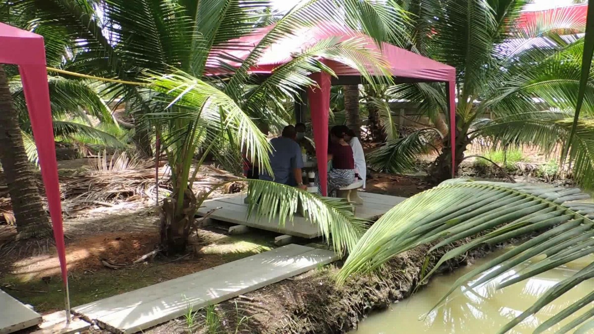 พาไปชิม กาแฟน้ำมะพร้าวอ่อน บรรยากาศท่ามกลางสวนมะพร้าว