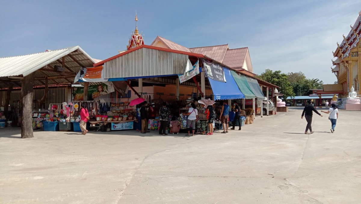 เที่ยวสะพานไม้ ชมทุ่งดอกบัวหลวงบาน รับลมหนาว