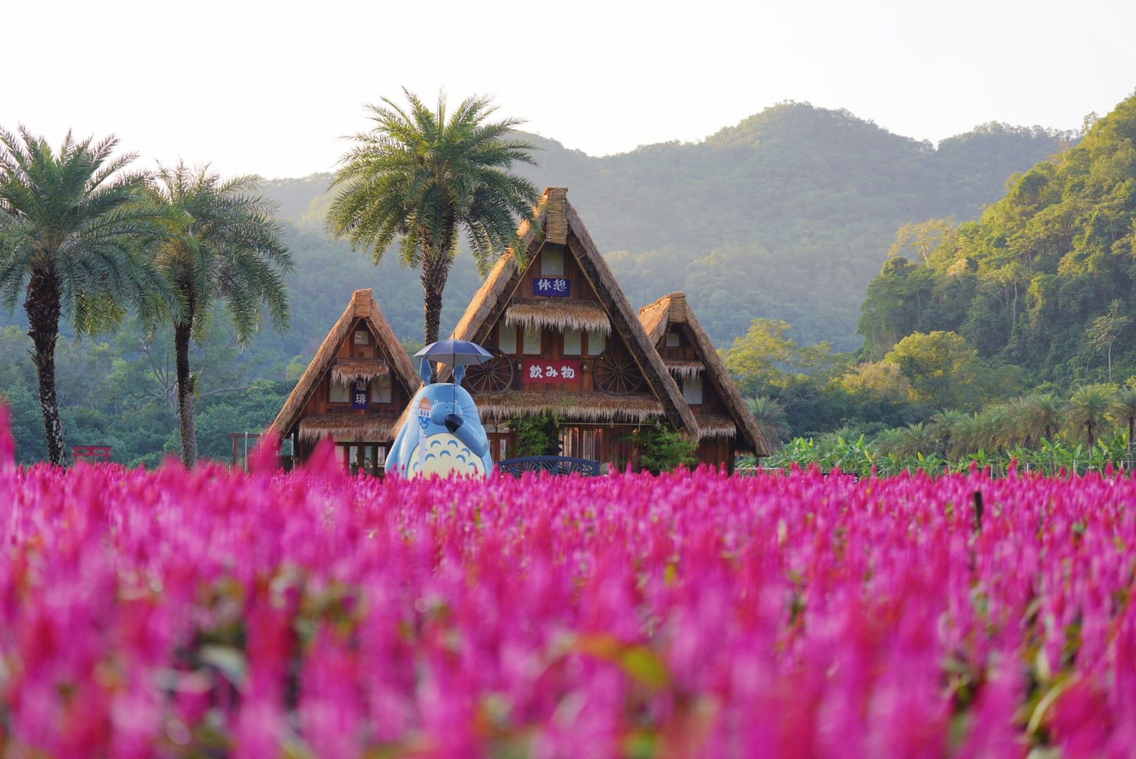 ที่เที่ยวใกล้กรุงเทพ ที่เที่ยวเขาใหญ๋ สวนดอกไม้สวยเว่อร์! ที่ Hokkaido Flower Park Khaoyai