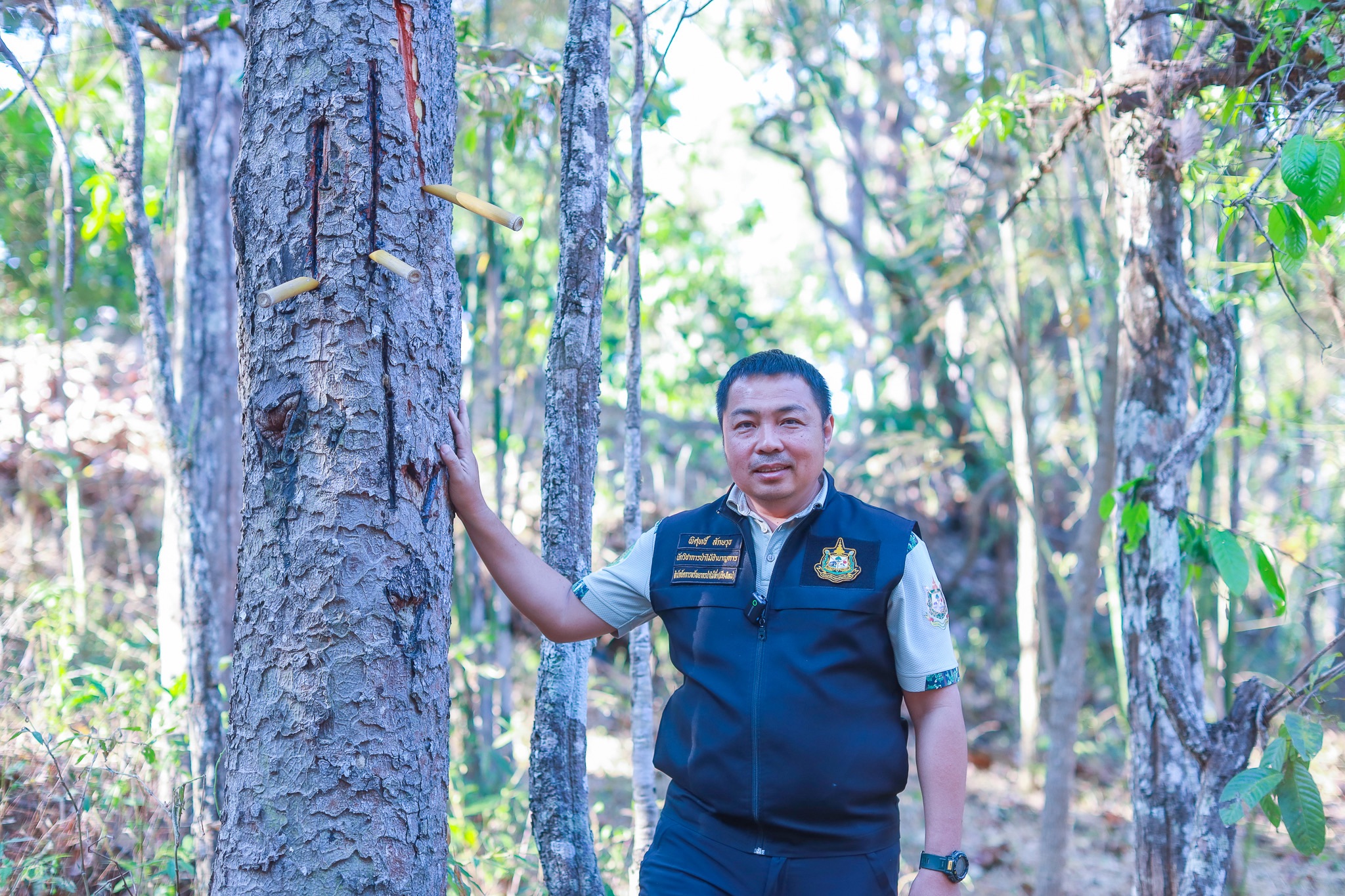 SACIT ฟื้น “ต้นน้ำยางรัก”  ดันวัตถุดิบหายากสู่ หลักทรัพย์ค้ำประกันทางธุรกิจ