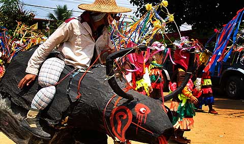 ประเพณีผีขนน้ำ บ้านนาซ่าว