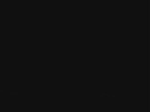 Unseen Pai 4 Scarab Beetles Fighting