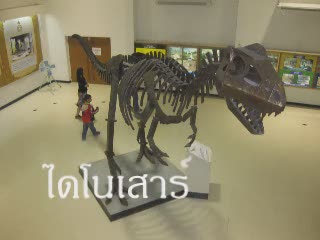 ไดโนเสาร์...เอ๊ย