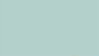 Alan Wake [E3 2009 Presscon Demo]