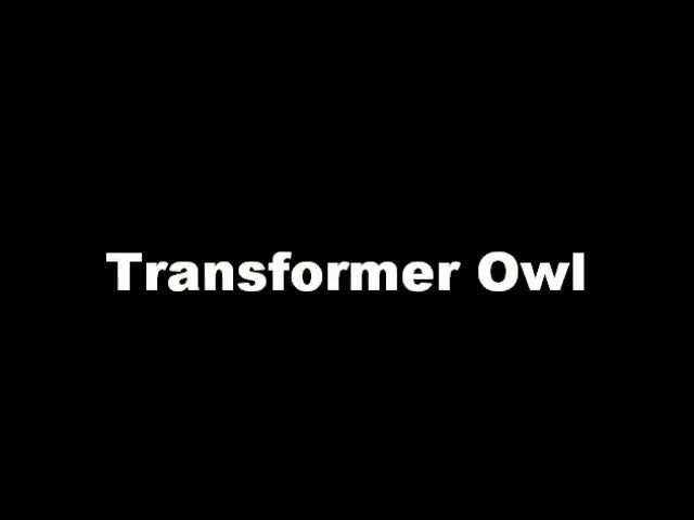 นกฮูก ก็แปลงร่างได้ Transformer Owl