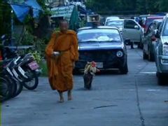 พระสมุวิชัยพาน้องแตงไท ขอรับบิณฑบาตช่วยน้ำท่วม