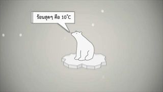 ทำไมหมีขั้วโลกถึงไม่ควรมาอยู่ที่เชียงใหม่?