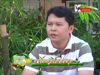 เกษตร ทำเงิน - ไผ่กิมซุ่ง 2/2