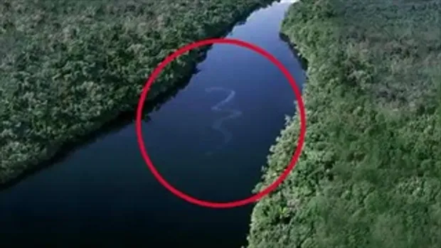 งูใหญ่ในแม่น้ำอเมซอน