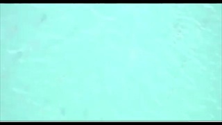 ผวา! ฉลามกว่าหมื่นตัวลัดเลาะฝั่งฟลอริดา ต้องปิดชายหาด