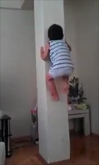 กำเนิด สไปเดอร์แมน