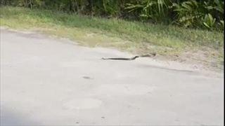 กลับบ้านไปตั้งหลักก่อนไหม!!!!