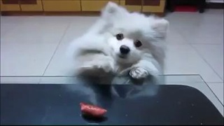 น่ารักอ่าส์ ^^ - YouLike (คลิปเด็ด).mp4