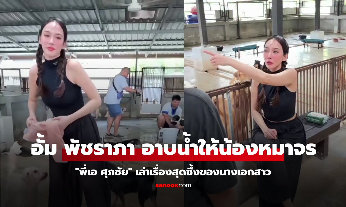 "อั้ม พัชราภา" ภาพอาบน้ำให้น้องหมาจร 130 ตัว "พี่เอ ศุภชัย" เล่าเรื่องสุดซึ้งของนางเอกสาว