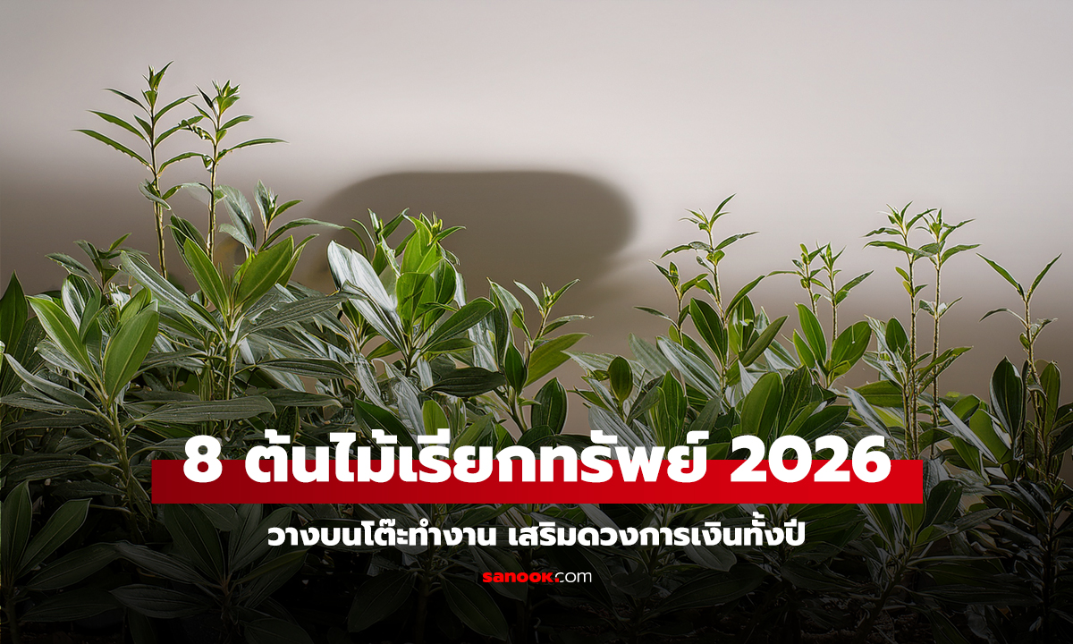 8 สุดยอดต้นไม้ "เรียกทรัพย์" วางบนโต๊ะทำงาน เสริมดวงการเงินปี 2026!