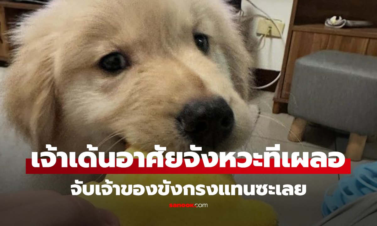 เตือนภัยทาสหมา! เจ้าเด้นอาศัยจังหวะทีเผลอ จับเจ้าของขังกรงแทนซะเลย