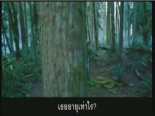 ตัวอย่างภาพยนต์เรื่อง Twilight