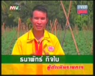แตงกวา