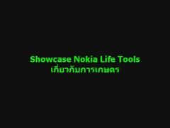 Nokia Life Tools 4