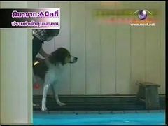 ทีวี แชมป์เปี้ยน - ปราบซ่าส์เจ้าตูบแสนซน(14-02-54)