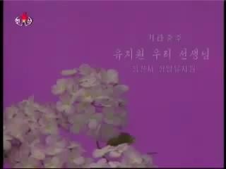 อนุบาลเกาหลีเหนือ เล่นกีต้าร์ น่ารัก