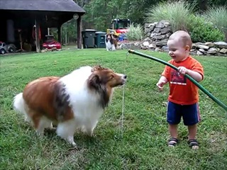 baby and dog play with hose   by  sia.co.th