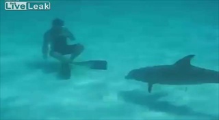 เจ้าปลาโลมาหื่นแสนขี้ตื้อ! ลวนลามผู้หญิงใต้น้ำ