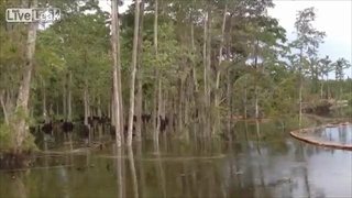 สหรัฐหลุมยักษ์โผล่ ลึกกว่า 400 ฟุต! ดูดกลืนต้นไม้หายไปในพริบตา