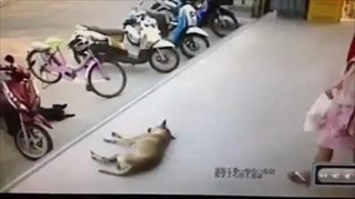 ถิ่นไคร..ให้รู้บ้าง!