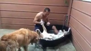อาบน้ำให้น้องหมา..สบายไปนะ