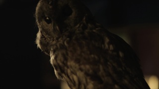 เพลง ใครจะรู้-Krai Ja Ru (เพลงประกอบละคร ทรายสีเพลิง) - Tata Young