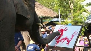 คลิป น่ารัก! ช้างแสนรู้ตวัดพูกันเขียนอักษรอวยพร 'วันตรุษจีน'