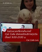 Cat Cafe Lviv คาเฟ่แมวยูเครน ไม่ปิด-ไม่หนีผู้รุกราน