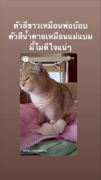 "เบิร์ด เทคนิค" โพสต์ภาพอิ่มใจที่ "แตงโม" มองลงมาแล้วยังทำให้พอยิ้มได้