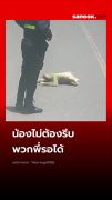 น้องไม่ต้องรีบ พี่รอได้