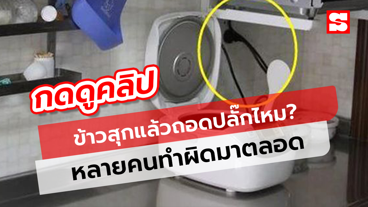 รู้ไว้ดีกว่า! ข้าวสุกแล้วต้องถอดปลั๊กหม้อหุงข้าว? หลายคนทำผิดมาตลอด ไม่รู้ตัว!