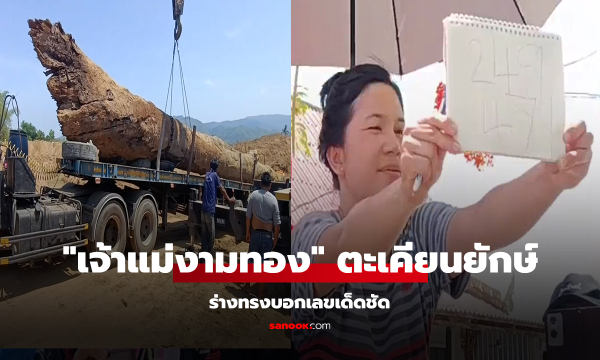 "ขุดเจอ "เจ้าแม่งามทอง" ตะเคียนยักษ์ ร่างทรงบอกเลขเด็ดเสียงชัด!"
