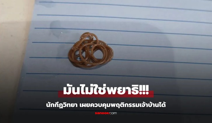 หนอนขนม้าในบ้าน! สยองข้างอ่างอาบน้ำ สาวออสซี่เจอปรสิตควบคุมแมงมุมแบบซอมบี้