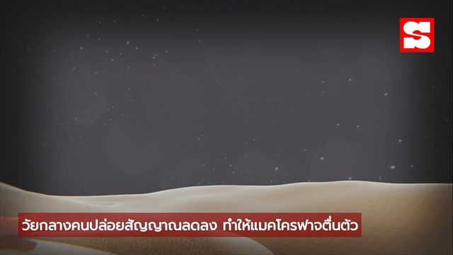 น้ำหนักพุ่งในวัยกลางคนไม่ใช่เพราะกินเยอะ! งานวิจัยเผย 