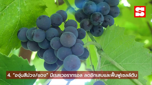 ต่างชาติยกนิ้ว! 6 ผลไม้ดีต่อตับ ล้างพิษได้ ไทยมีครบตลอดปี