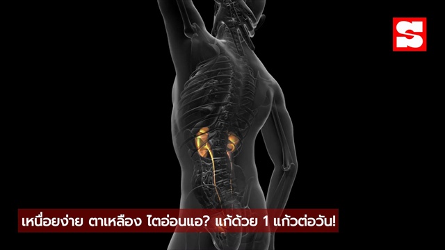 5 น้ำล้างพิษในร่างกาย! ดีต่อตับ-ไต ดื่มตอนไหนถึงได้ผล?