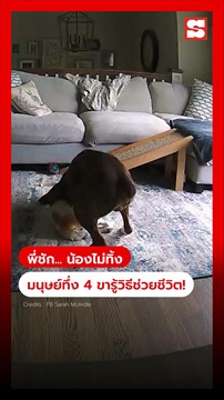 คลิป หมาฮีโร่! ไม่เคยเรียนแต่ 