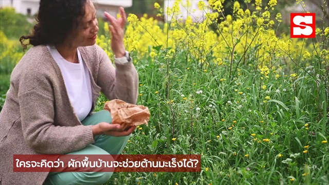 ฝรั่งยกสมุนไพรไทยเป็น Super Food! อยู่ใกล้ตัว แต่คนไทยกลับไม่รู้?!