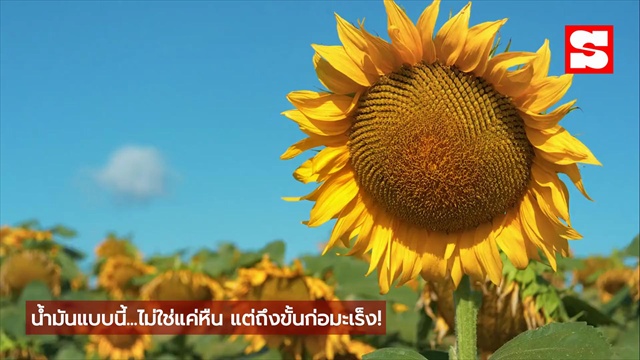 3 น้ำมันพืช เสี่ยงมะเร็ง! หมอเตือน หยุดใช้ก่อนสายเกินไป!