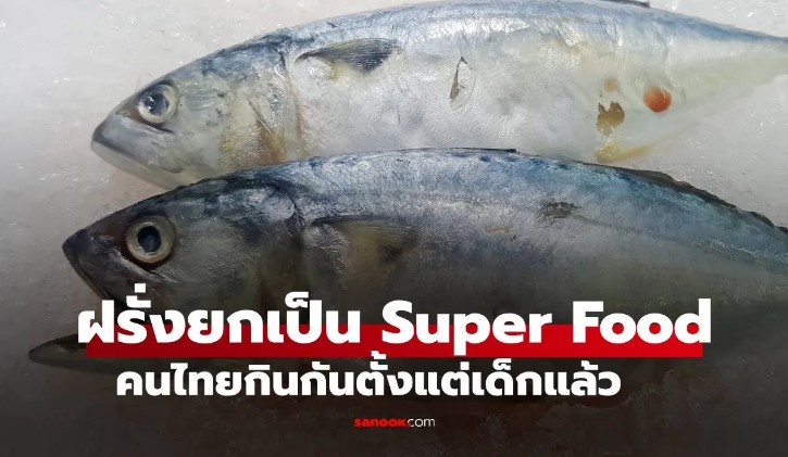 สุดยอด ปลาไทย ฝรั่งยกให้เป็น Super Food คุณค่าอาหารสูงมาก บ้านเราหากินโคตรง่าย