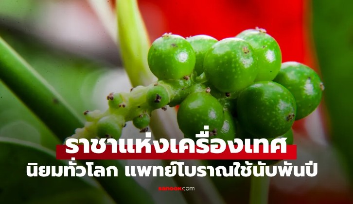 รู้จัก ราชาเครื่องเทศ ตัวช่วยต้านมะเร็ง แพทย์โบราณใช้มานับพันปี สีขาว-สีดำ ต่างกันยังไง