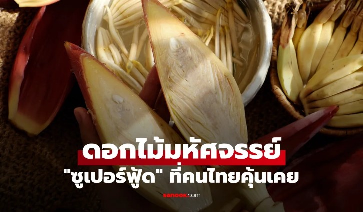 หัวปลี ซูเปอร์ฟู้ดไทย ต่างชาติยกย่อง ดีต่อสุขภาพรอบด้าน