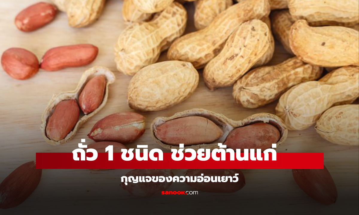 ถั่ว 1 ชนิด ช่วยต้านแก่ กุญแจของความอ่อนเยาว์ หลายคนกินผิดวิธี ทิ้งส่วนที่มีประโยชน์