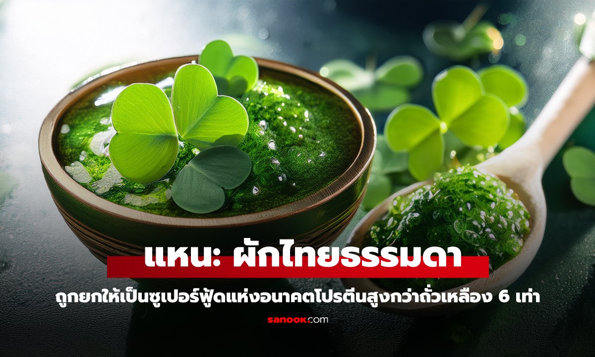 แหน ผักไทยธรรมดาถูกยกให้เป็นซูเปอร์ฟู้ดแห่งอนาคต